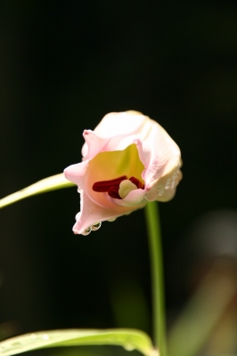 d0055236_1634418.jpg