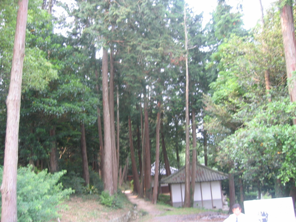 四国別格二十霊場巡り　4日目　萩原寺_a0093343_1747747.jpg