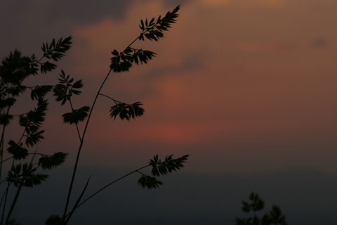 山形市の夕景_e0084756_841229.jpg