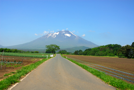 a0073962_1522131.jpg