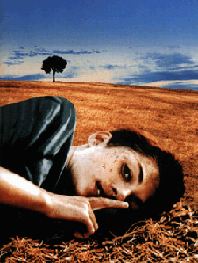 b0056570_1255675.gif