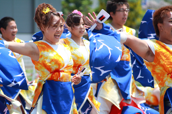 Yosakoi 嫌い は53 6 札幌日和下駄