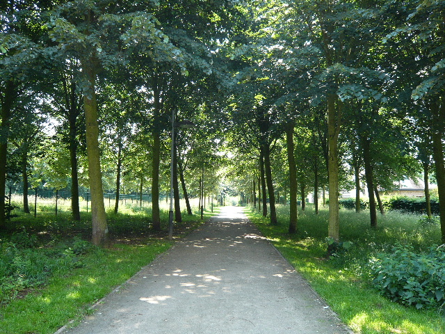 c0069083_514347.jpg