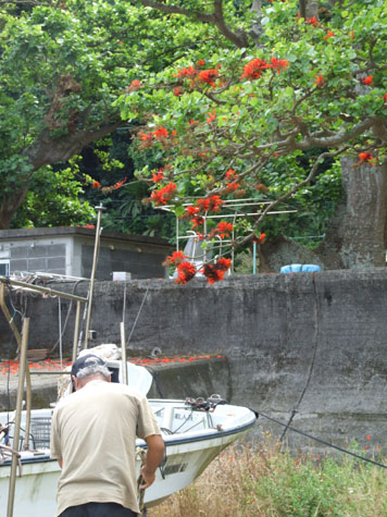 e0028387_17494765.jpg