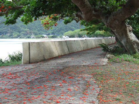 e0028387_1751393.jpg