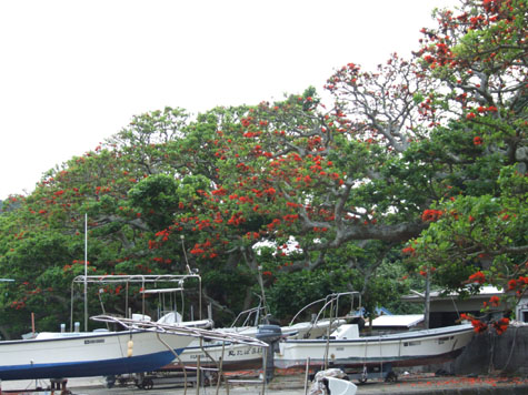 e0028387_1752152.jpg