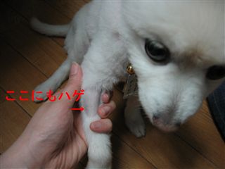 e0121589_00873.jpg