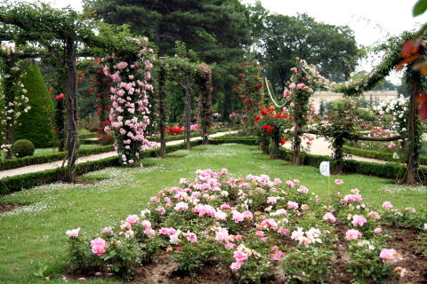 c0090198_712346.jpg