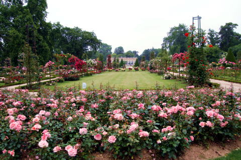 c0090198_723829.jpg