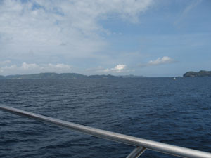 a0087302_1953643.jpg