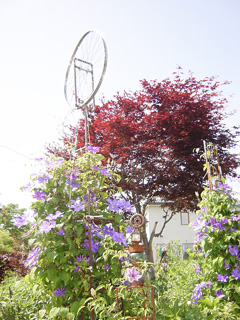 d0096103_2222873.jpg
