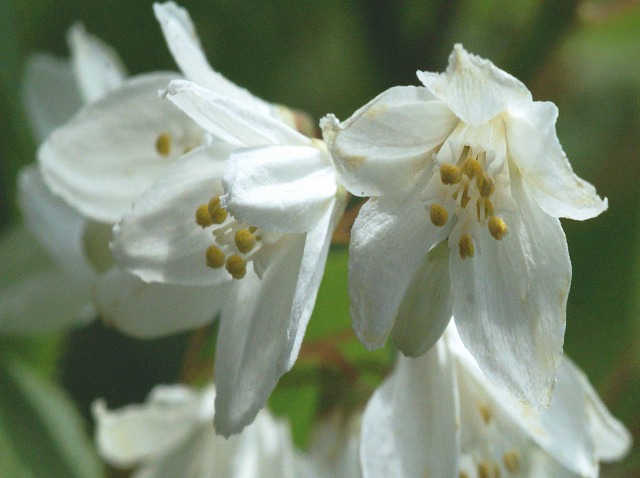 e0039703_003714.jpg