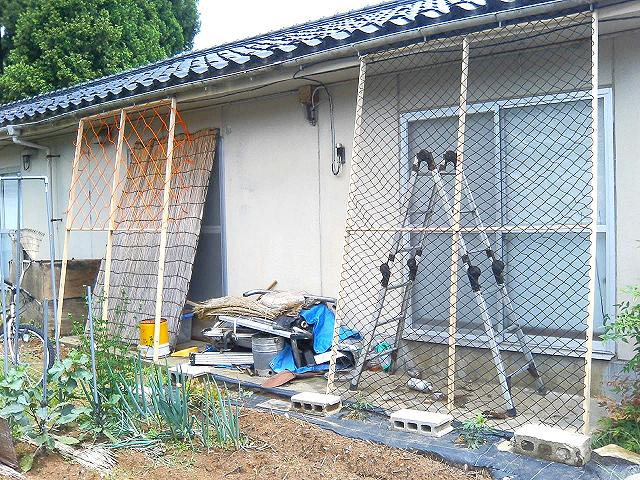 a0072808_173041100.jpg