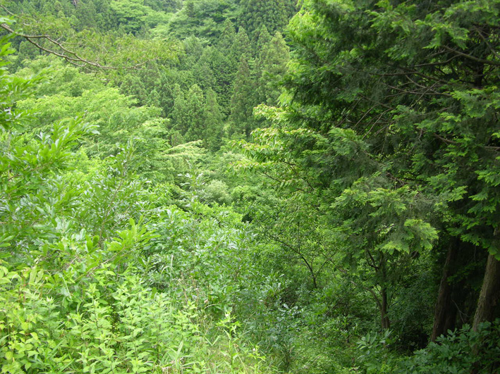 e0034013_21125434.jpg
