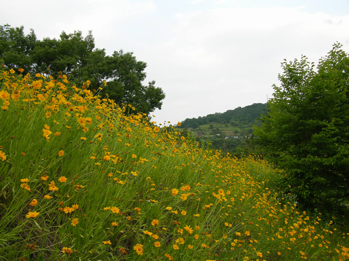 e0034013_21405757.jpg