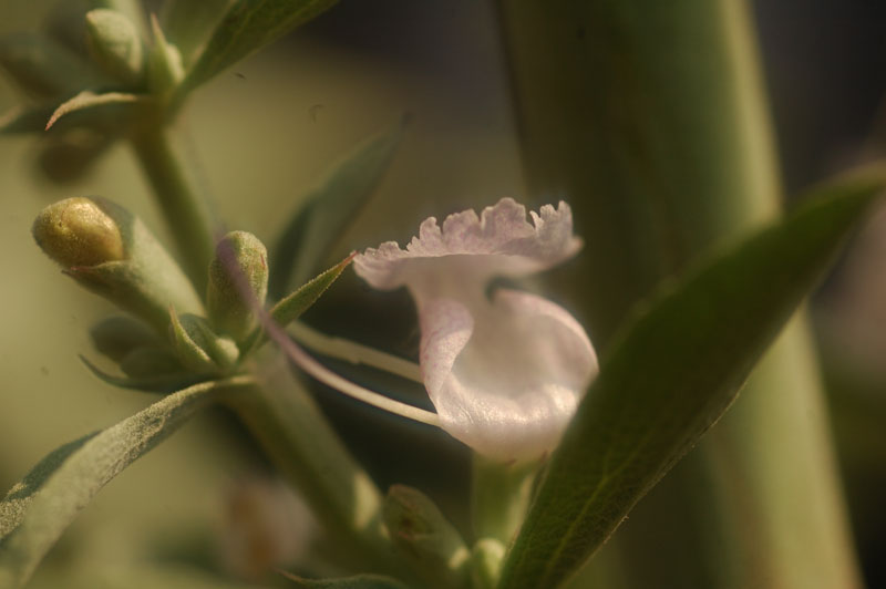 a0059621_13033.jpg