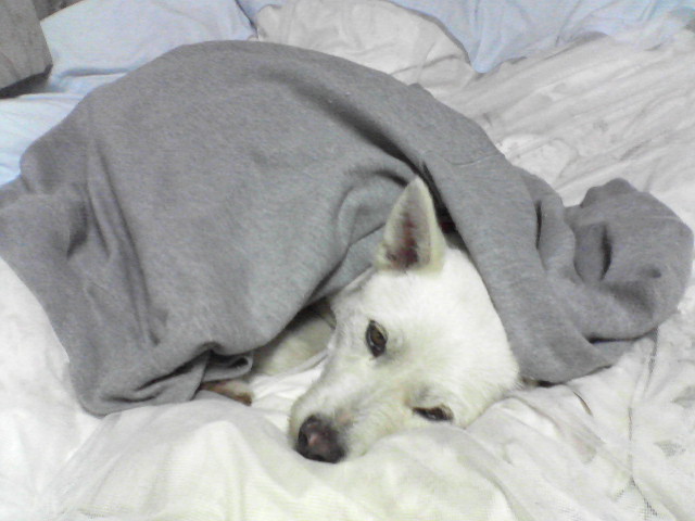 c0123029_21512498.jpg