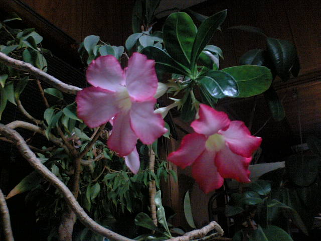 a0015730_09480.jpg