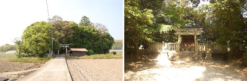 北・山之辺の道探訪（07.05.23）⑧御霊神社～円照寺～大師堂・・・終_a0016431_19533772.jpg