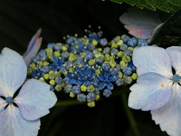e0069433_14361461.jpg