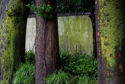 荒れ模様の吉祥寺_a0009142_2139463.jpg