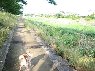 年に1度・・・?_c0049950_8303459.jpg
