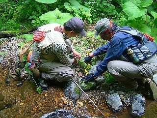 道南DRY FLY ONLY TOUR・岩魚河川編_c0097652_19314924.jpg