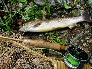 道南DRY FLY ONLY TOUR・岩魚河川編_c0097652_19321014.jpg