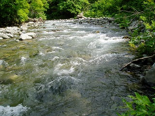 道南DRY FLY ONLY TOUR・山女河川編_c0097652_7484592.jpg