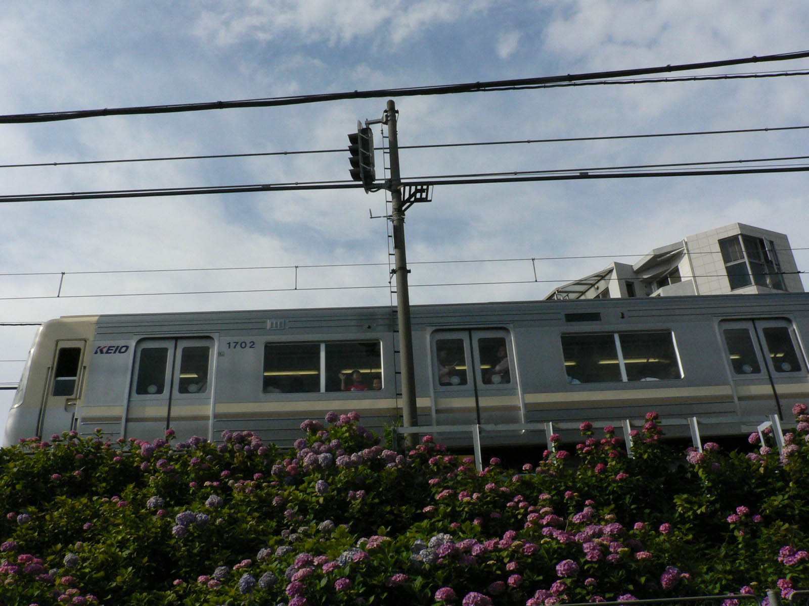 あじさい電車_f0113552_23491657.jpg