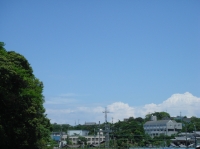 2007ササユリ便り⑬_c0108460_1492266.jpg