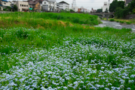 a0073962_23564944.jpg