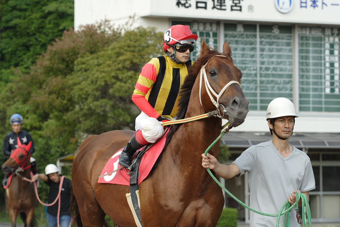 2007年6月9日（土） 高知競馬 10R 入梅特別_a0077663_0271765.jpg