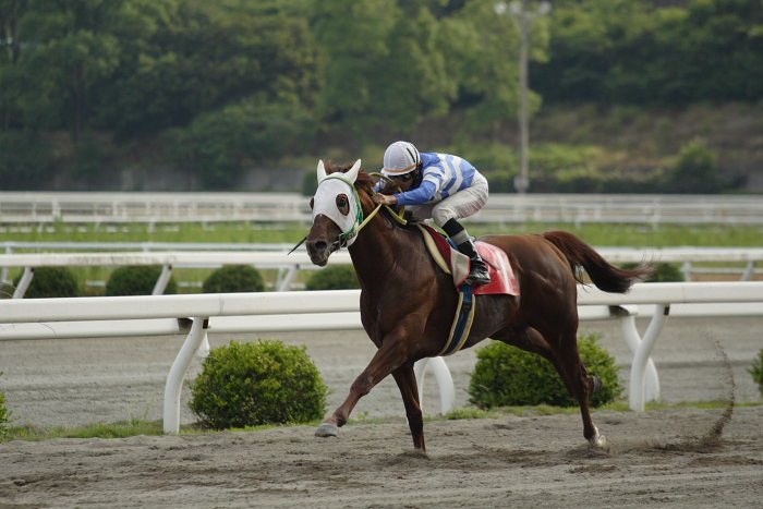 2007年6月9日（土） 高知競馬 10R 入梅特別_a0077663_0281991.jpg