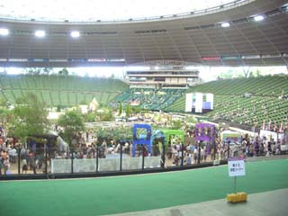 a0066965_17515842.jpg