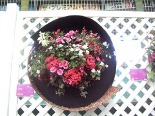 a0066965_1845893.jpg