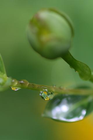 雨なので_f0095265_21542799.jpg