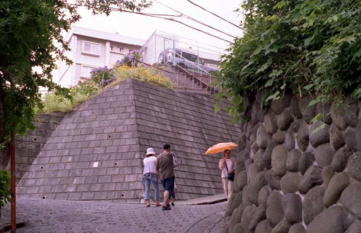 ＜第２３章＞ 紫陽花の小路　飛鳥山公園 ／０７年６月 第２週_d0110269_6385948.jpg