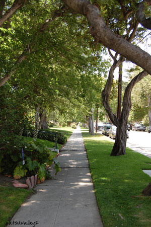 f0095977_1382695.jpg