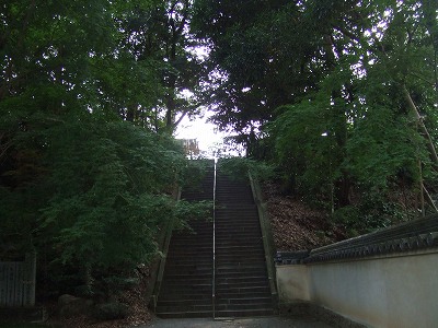 d0091279_18262791.jpg
