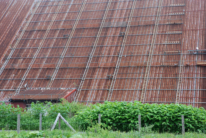 a0062697_042822.jpg