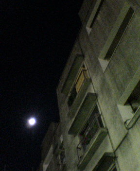 b0054498_3101330.jpg