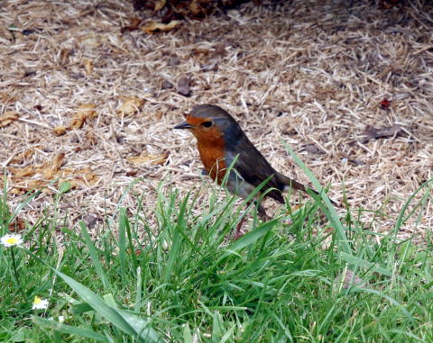 c0090198_225514.jpg