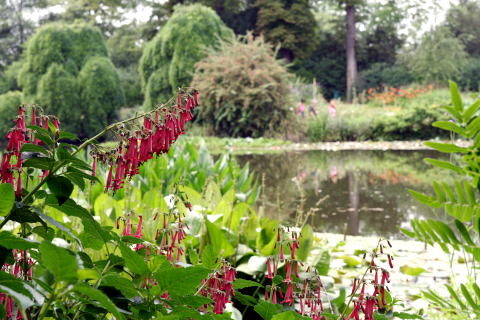 c0090198_2295725.jpg