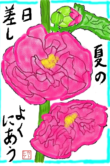 絵手紙 初夏 タチアオイ 立葵 八重 アオイ 葵 アオイ科 花と自然の散歩道 絵手紙 初夏 タチアオイ 立葵 八重 アオイ 葵 アオイ科 花と自然の散歩道
