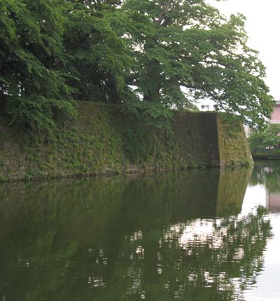 d0080118_17404564.jpg