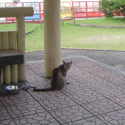 ブログの調子がよろしくないようで_c0057821_2139581.jpg