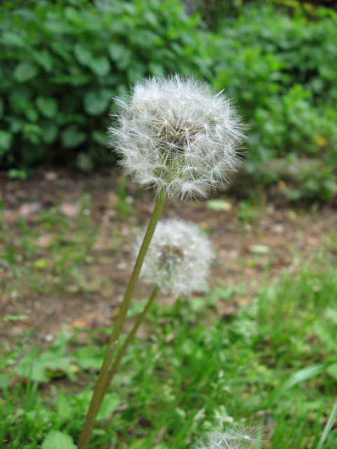 d0041032_05461.jpg