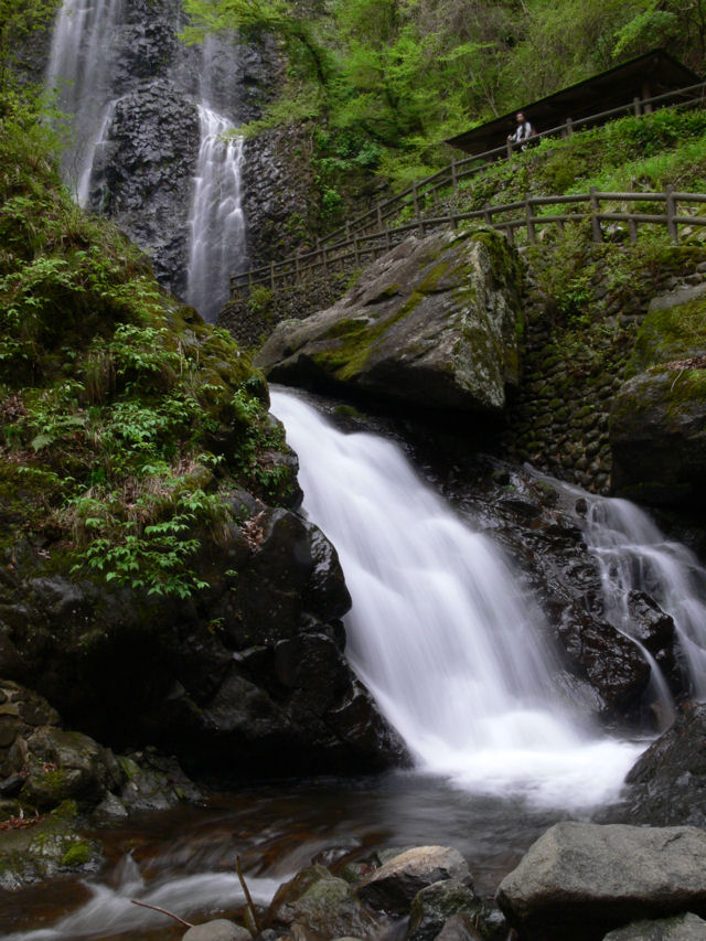 過去の画像 - 5/1 松山付近_e0055642_23352821.jpg