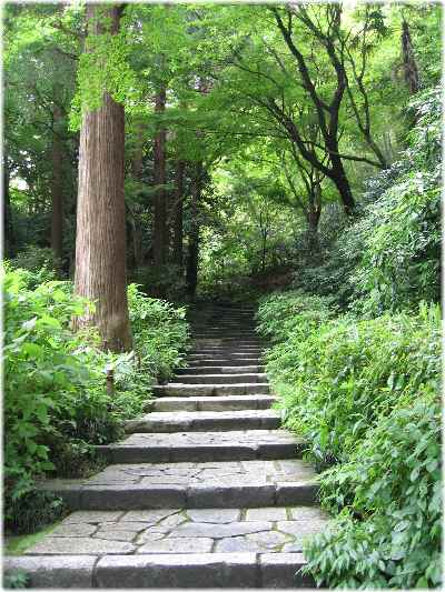 【うぐいす鳴く新緑の瑞泉寺・二階堂散歩③】_b0009849_1724649.jpg